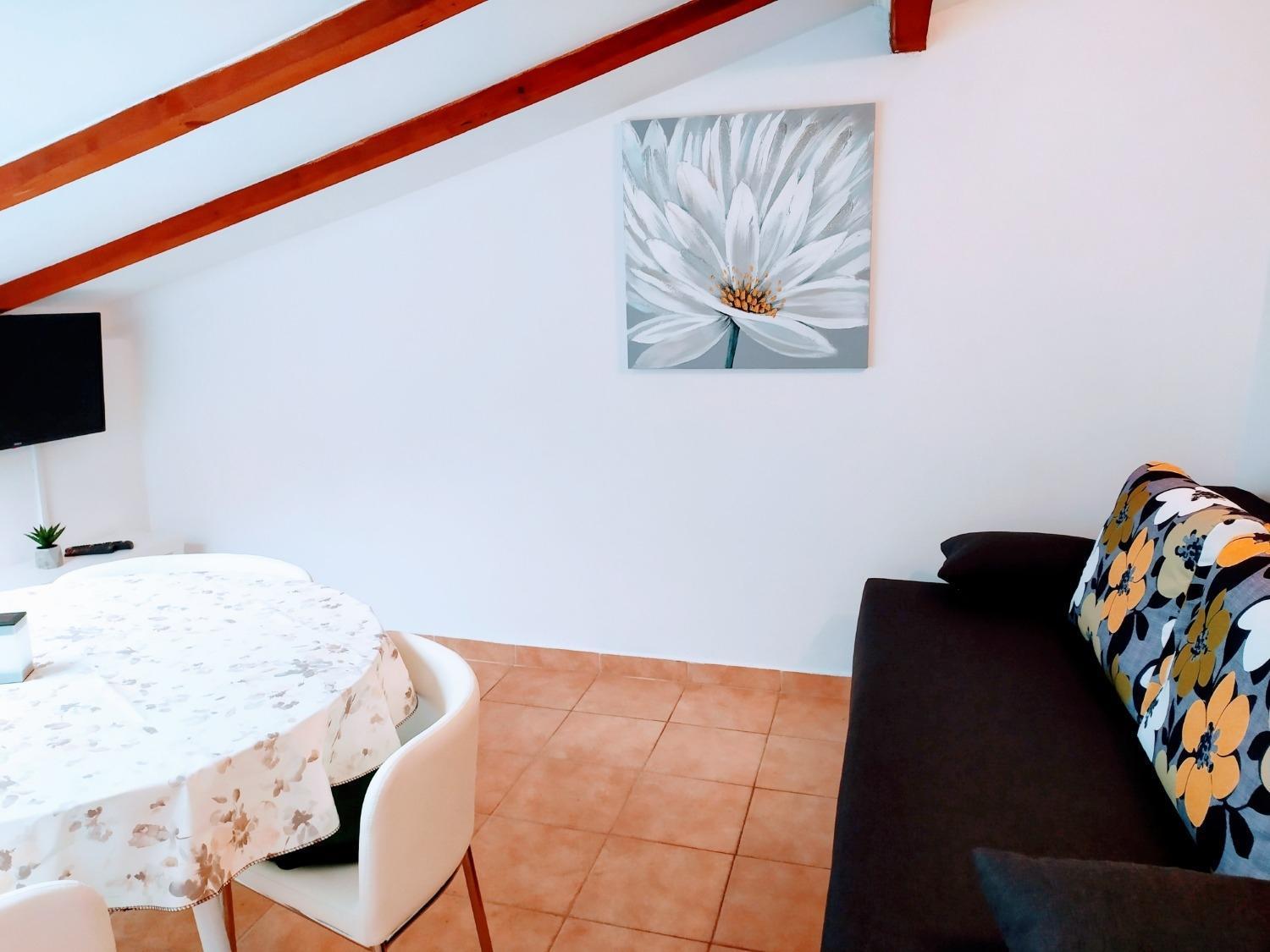 Apartments And Rooms Aleksandra Bibinje Extérieur photo